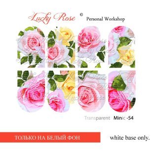 Слайдер Дизайн Lucky Rose Minic-54