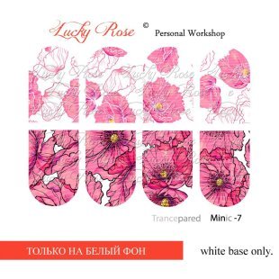 Слайдер Дизайн Lucky Rose Minic-7