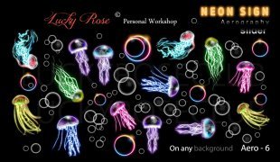 Слайдер Дизайн Lucky Rose Aero Neon-6