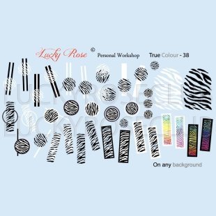 Слайдер Дизайн Lucky Rose True Color-38